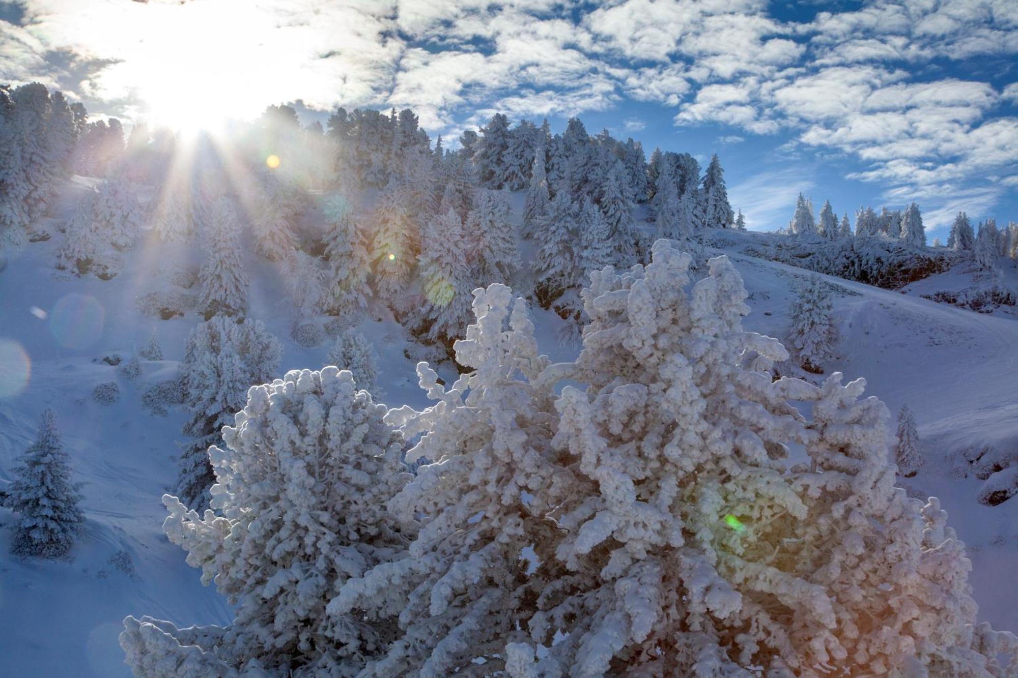 Studio, 2 Personnes, Les Balcons De Recoin Chamrousse Eksteriør bilde